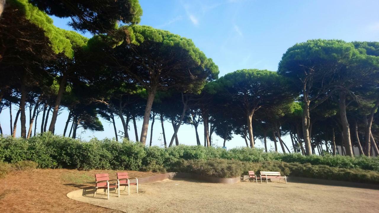 Promar Daire La Pineda Dış mekan fotoğraf